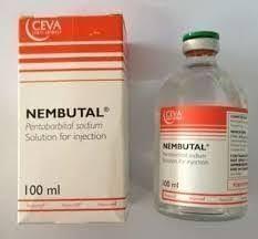 where can you buy nembutal pentobarbital?