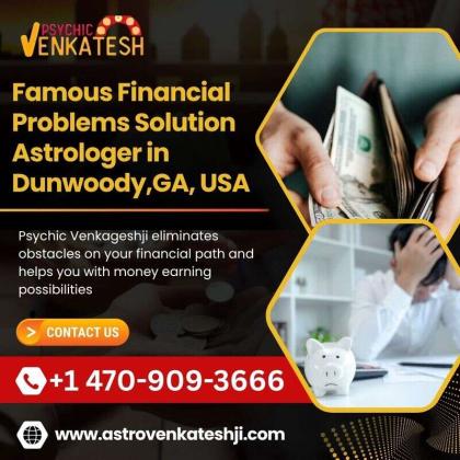 Financial Problems Solution Astrologer in Dunwoody | Psychic in Dunwoody