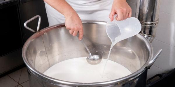 High-Quality Rennet Lipase for Home Cheese Making – Available in Peakhurst