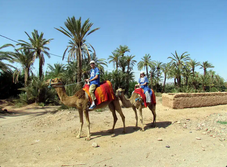 Luxury Private Tours Morocco