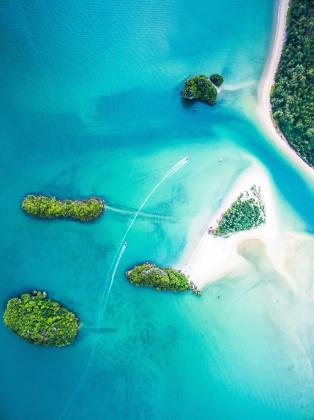 Make Your Dream Trip a Reality with Tour Grove!