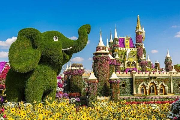 Miracle Garden Dubai | Dubai Miracle Garden