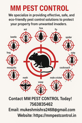 MM PEST CONTROL IS BEST  PRE CONSTRUCTION TREATMENT