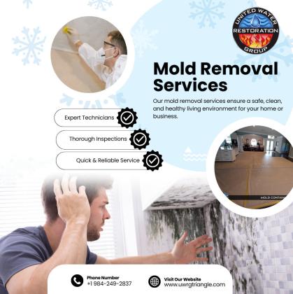 Mold removal companies Durham