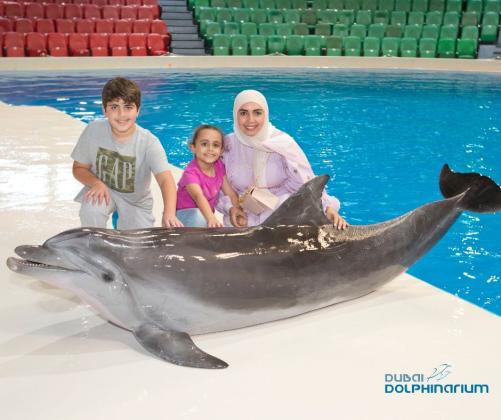 Parmar Tours - Destination Management Company UAE