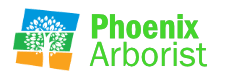 Phoenix Arborist Directory