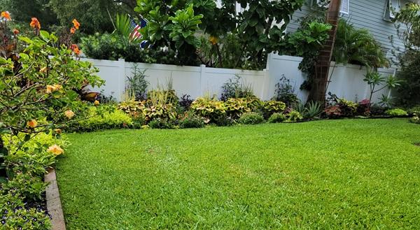 Pro Green Grounds Maintenance