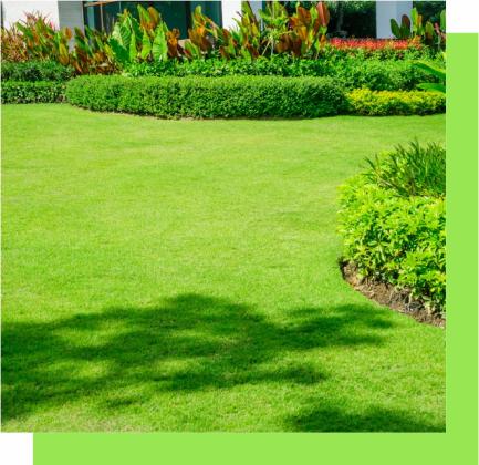 Professional Lawn Care & Landscaping Services In Port Allen, LA
