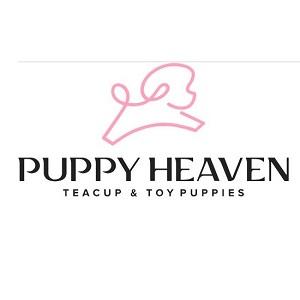 Puppy Heaven