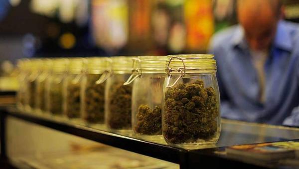 Rollin Green: The New Cannabis Dispensary NJ Has Been Waiting For