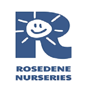 Rosedene Hemlington Childrens Nursery School