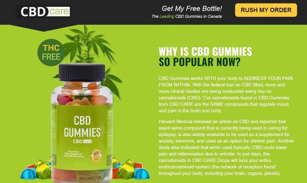 Scion Organics Hemp Gummies: (Facts Exposed!) Safe Results?