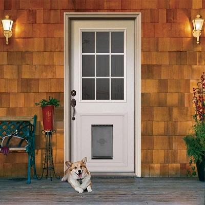 Secure, Convenient Storm Doors for Pet Owners