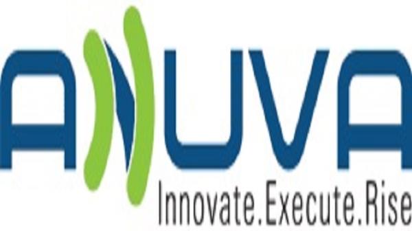 SEO link building services