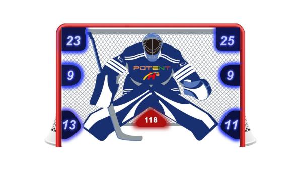 Shooting Tarp for Hockey