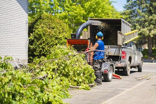 Terre Haute Tree Pros