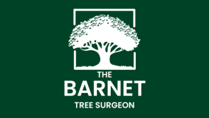 The Barnet Tree Surgeon