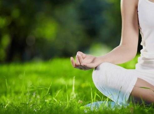 Transform Your Life with a Certified Wellness Coach Online