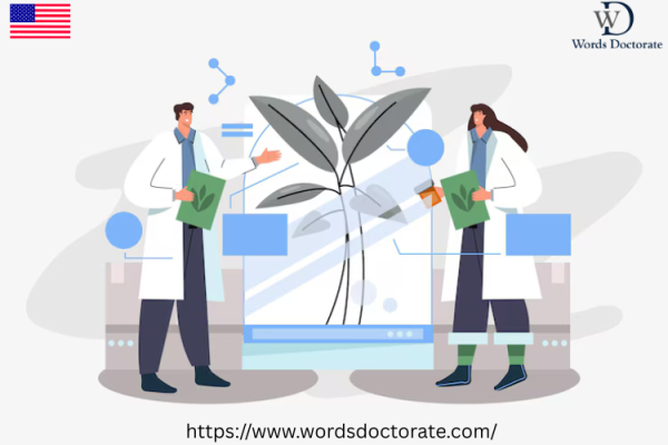 Trustworthy Environment Science Research Paper Writing Assistance in San Diego