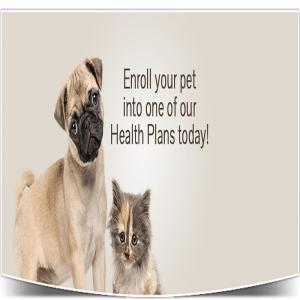Quality Pet Care You Can Trust – Marriottsville Animal Hospital, MD