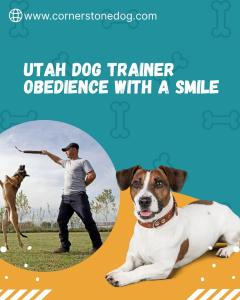 The Utah Dog Trainer Every Pup Secretly Wants to Meet – Powered by Cornerstone