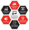Best eCommerce Development Services Company in USA- Coder Mask Tech