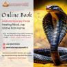 Book Maha Mrityunjaya Japa Online Powerful Healing Ritual from India by Kalsarp Rakesh Tripathi