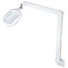 Buy Chameleon Beauty Salon Magnifier Wide Lens Today