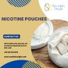 Buy Nicotine Pouches in UAE | Tobacco-Free & Long-Lasting