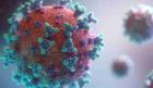 Corona Virus, Non-existent in Humans, Is Now Present in Deer