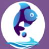 E-Commerce Development Services - Fish Eye Advertising