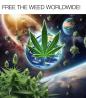 Energizing Cannabis Flower (Sativa Dominant)