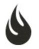 Fine Ink Studios – Trusted Tattoo Shop in Orlando
