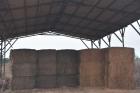 For those tackling a DIY pole barn in Alabama, ease of assembly hinges on clear instructions and lab