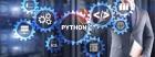 How Python Can Solve Common Web Development Problems