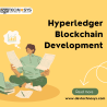 hyperledger blockchain development company | dev technosys