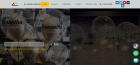 Most Trusted Graduation Balloon Delivery Servic