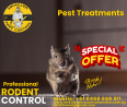 Mr.KıLLeR Pest & Termite Control Exterminator 24/7 COMMERCIAL-BEDBUGS-RODENT-POSSUM REMOVAL-WASP-SP