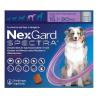 Nexgard Spectra Red for XL Dogs – Lowest Price!