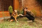 Premium Dog Kennel Services in Miami – Safe, Loving & Affordable!