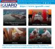 Private CPR and Life Saving Classes in Las Vegas or Henderson, NV