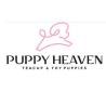 Puppy Heaven