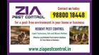Rodent pest control near me | Bangalore pest control services | 7080