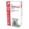 Selehold Red Pack – Medium Dog Protection | 30% Off