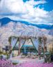 Stress-Free Weddings by Wedding Coordinator New York – IndoEventNYC