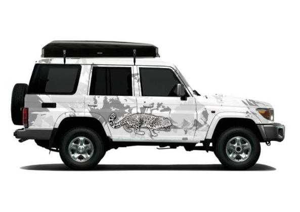 4x4 Mongolia Car Rental | Gobi Desert Tours & Self-Drive Adventures