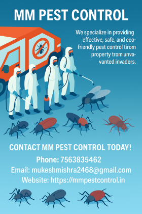 Bed Bugs Management by MM Pest Control