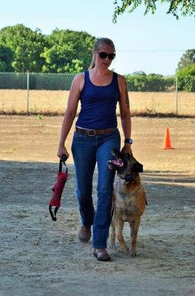 Best Dog Training Fort Walton Beach
