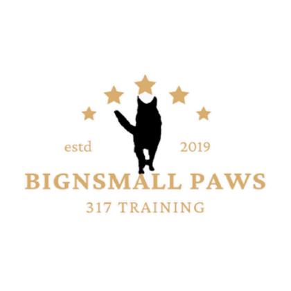 Big N' Small Paws 317