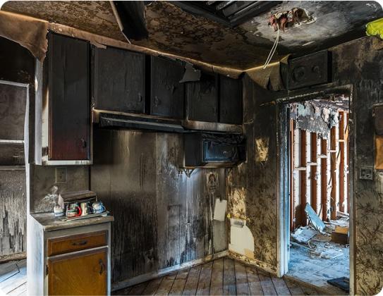 Boasting Mold, Fire, and Water Restoration